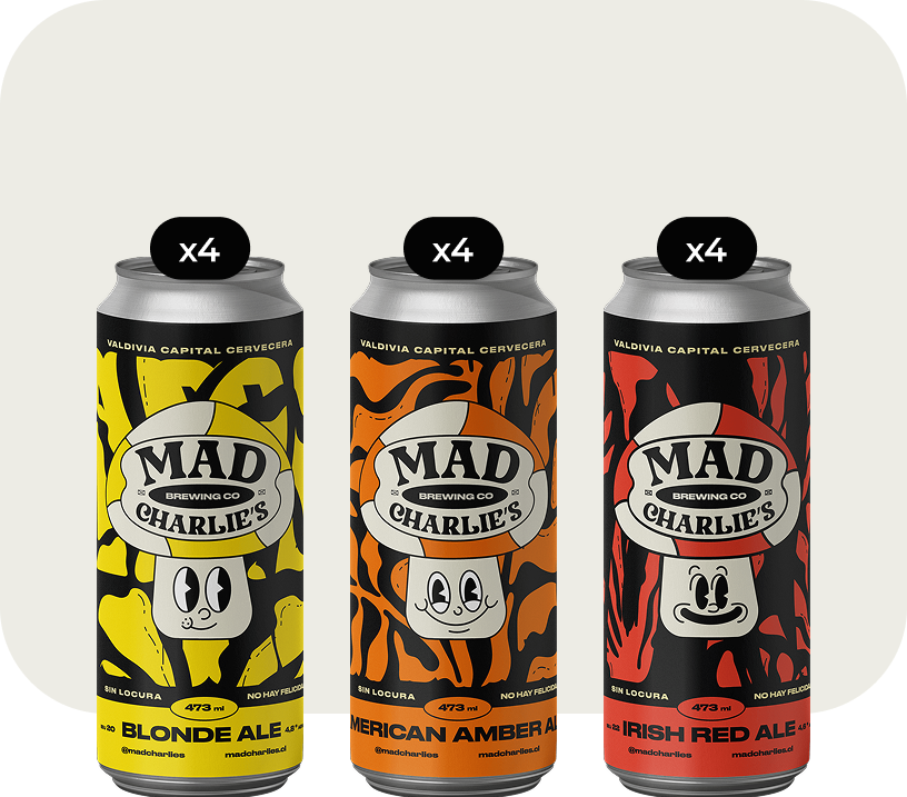 12-Pack Tradicional