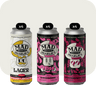 12-Pack Pack Verano - Cervecería Mad Charlie's Valdivia